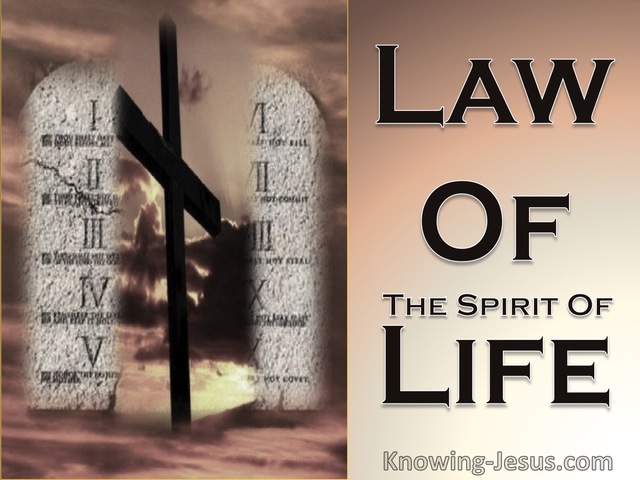 Romans 8:2 The Law Of The Spirit Of Life (brown)